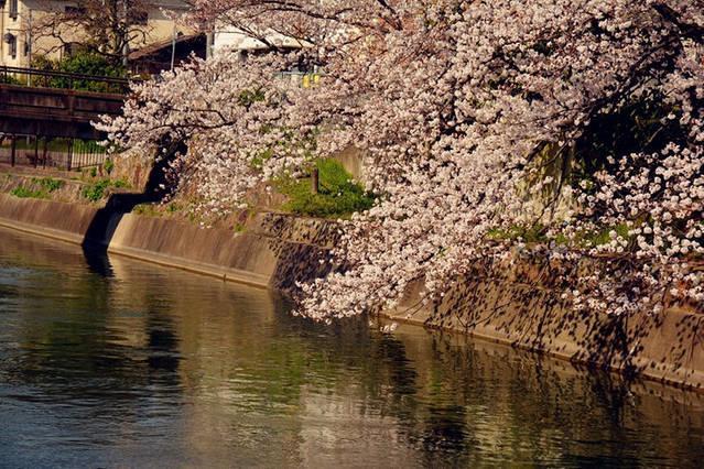 Art Stay In Tofukuji 교토 외부 사진