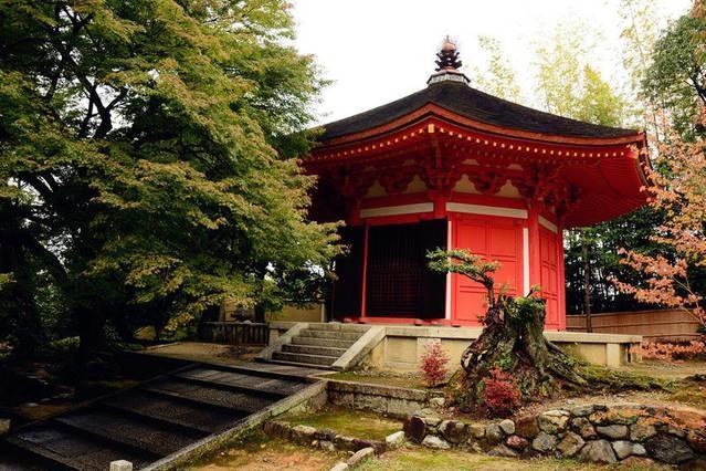 Art Stay In Tofukuji 교토 외부 사진